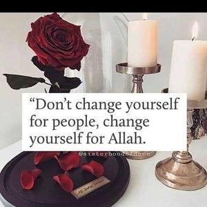 Meet your Posher, Lamis